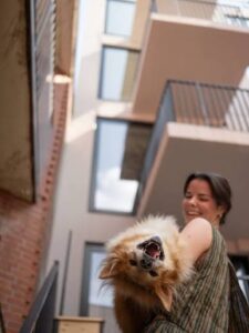 photo by Alexandra Lloyd of @adoptabledogsofnyc